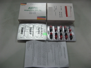 Китай Ампициллин Capsules медицины пенициллинов 250MG 500MG BP/USP поставщик