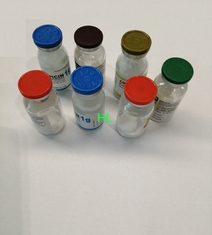 Китай Cloxacillin ампициллина для медицин антибиотиков впрыски 250MG+250MG поставщик